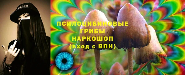 марки lsd Белоозёрский